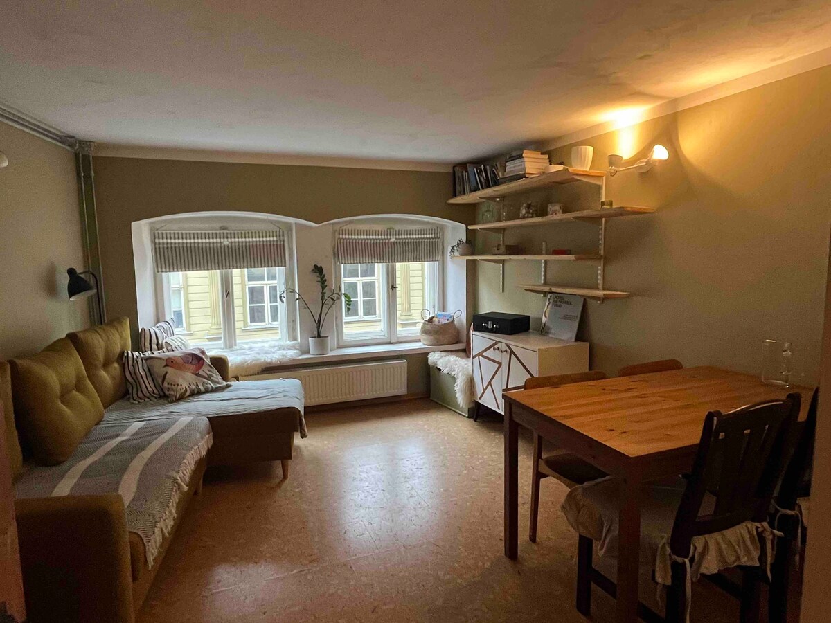 Cozy apartment in the heart of Viljandi