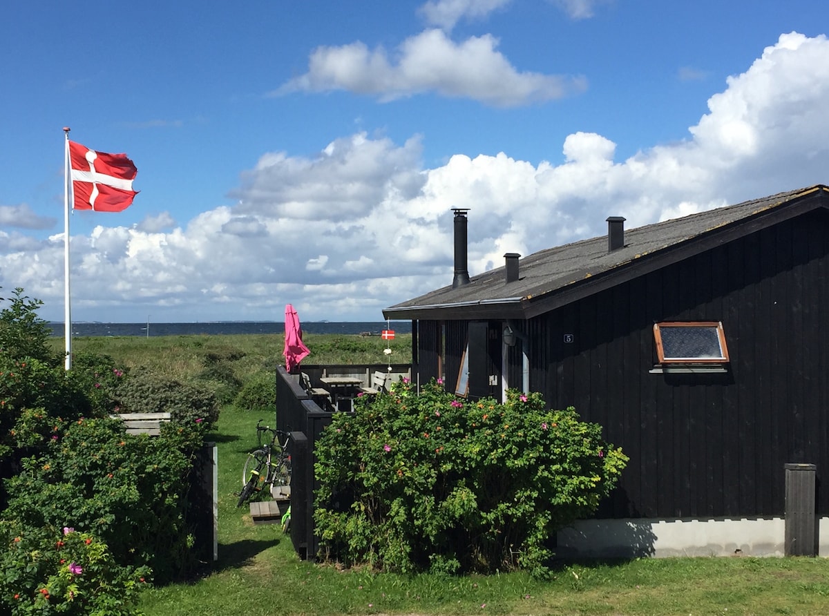 Front row Fjord, cosy summer house idyll