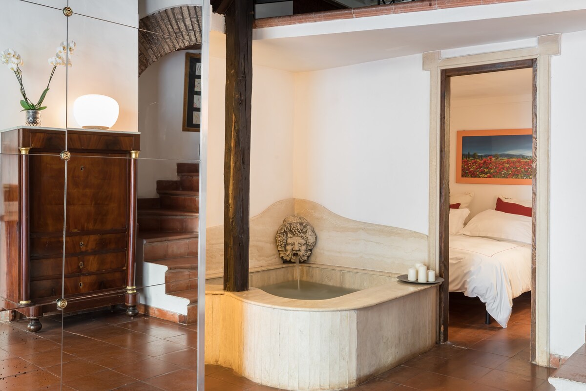 特拉斯提弗列（ Trastevere ）的Cedro露台和按摩浴缸（ Loft ）