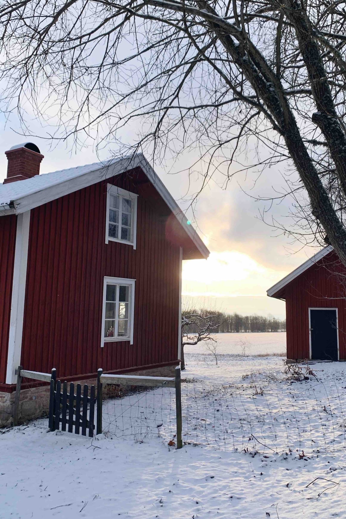 Arbetarbostaden - Mysigt torp vid Österplana hed