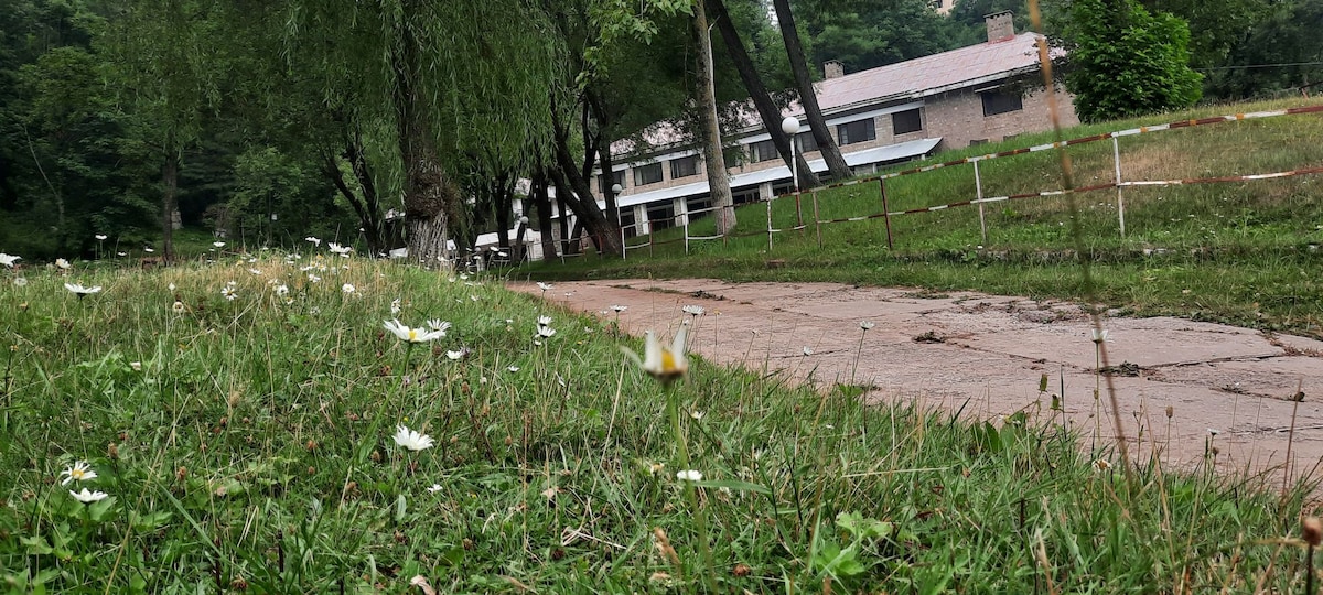 迷人的13张床度假村，停在房屋内
在山中欣赏美丽的景色，城里最好的亚洲美食。