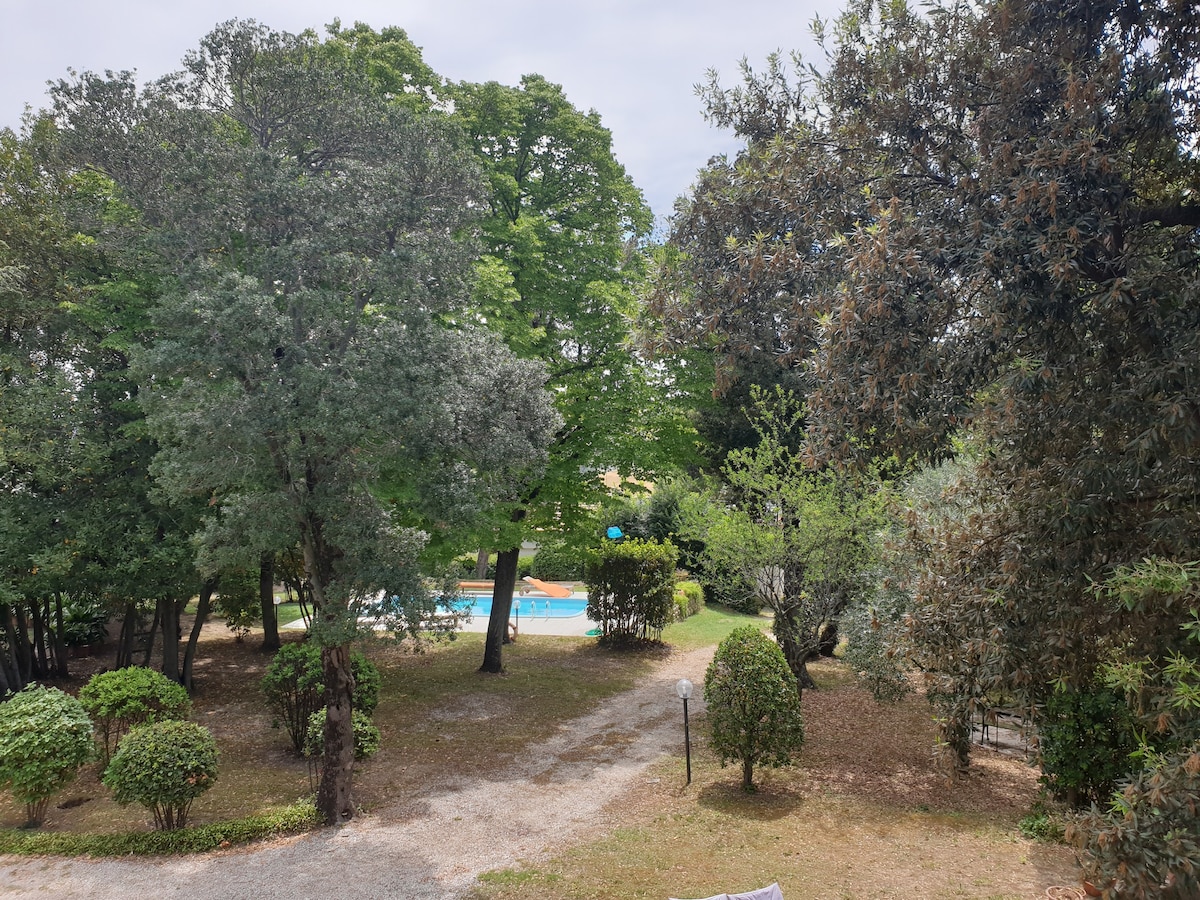 带泳池的大花园别墅- Falconara