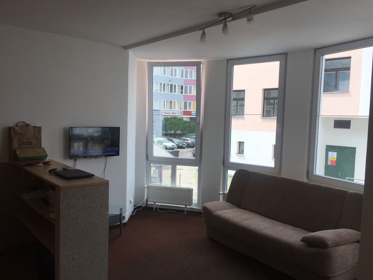 Apartment close to Prague