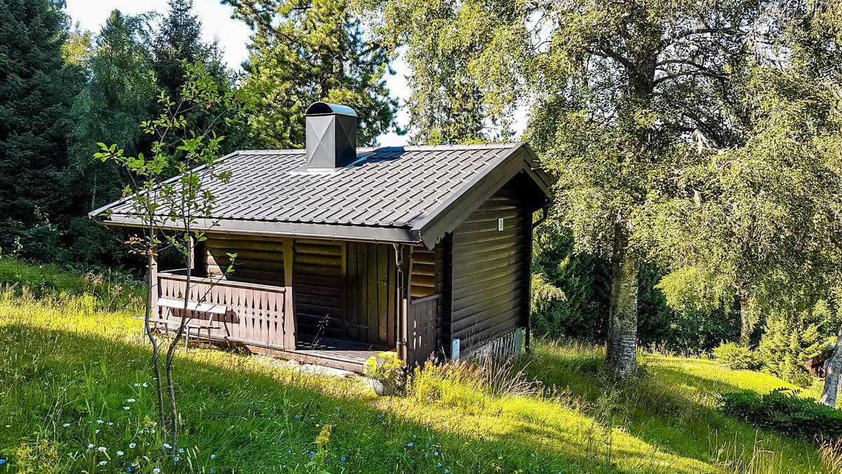 Sommervang Log Cabin -城市与大自然