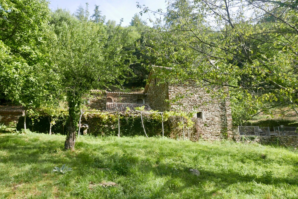 VIALAS  Maison "Le Mascharel"   Cévennes