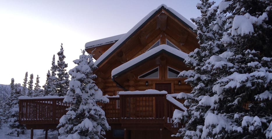 Denali National Park and Preserve的民宿