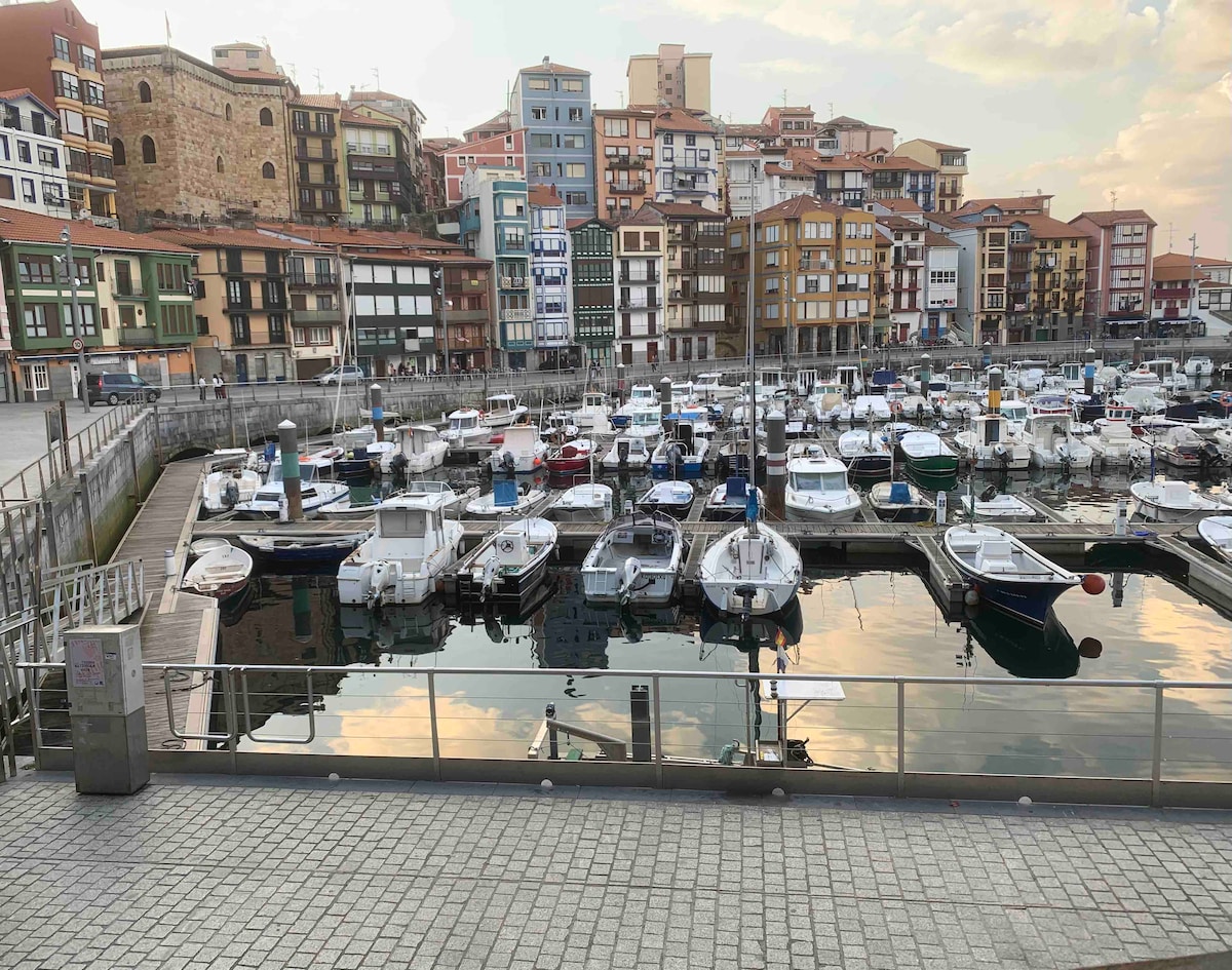 TXINTXORRO 
Coqueto loft in Bermeo port