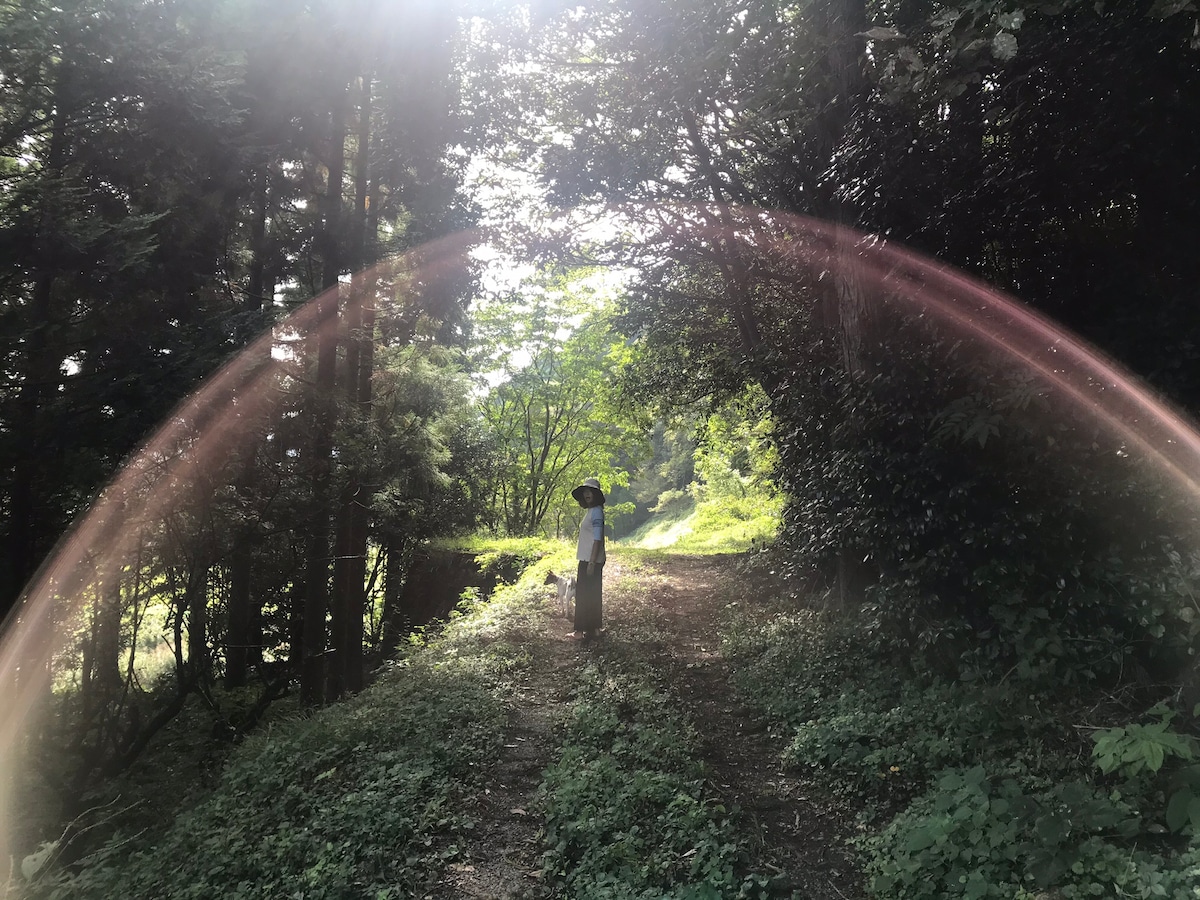 愛犬と泊まれるお部屋　元保健所犬すみれとみつばがお出迎え／日本遺産 三徳山・三朝温泉