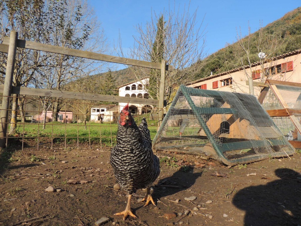 El Molí d' en Solà Golfes Est. PG-203