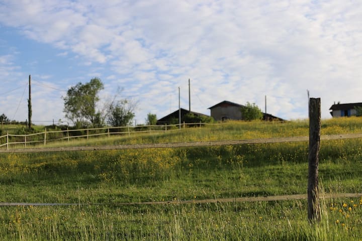 Berthez, Aquitaine-Limousin-Poitou-Charentes, FR的民宿