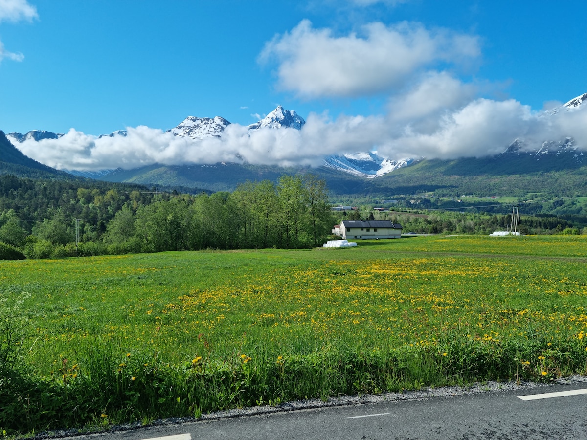 Isfjorden度假屋，可欣赏全景！