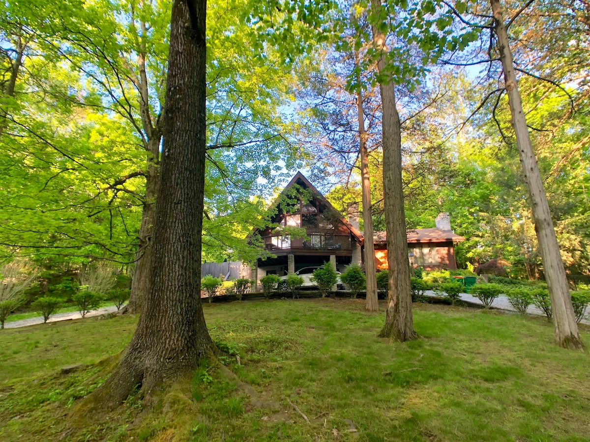 Hyde Park Luxury A-Frame - Pool/Spa/Chef Kitchen