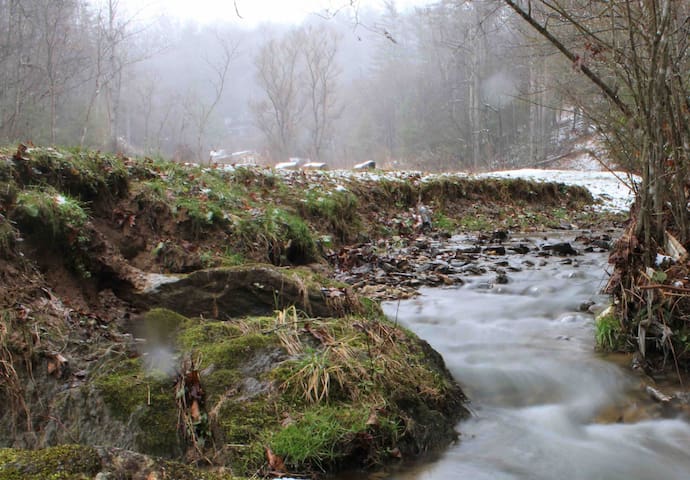 Green Mountain的民宿