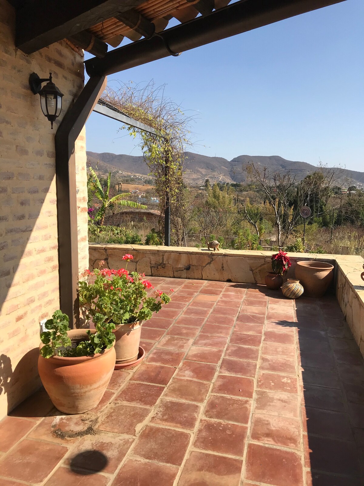 Casa DaviLinda: Work/Play Retreat & Birder's Oasis