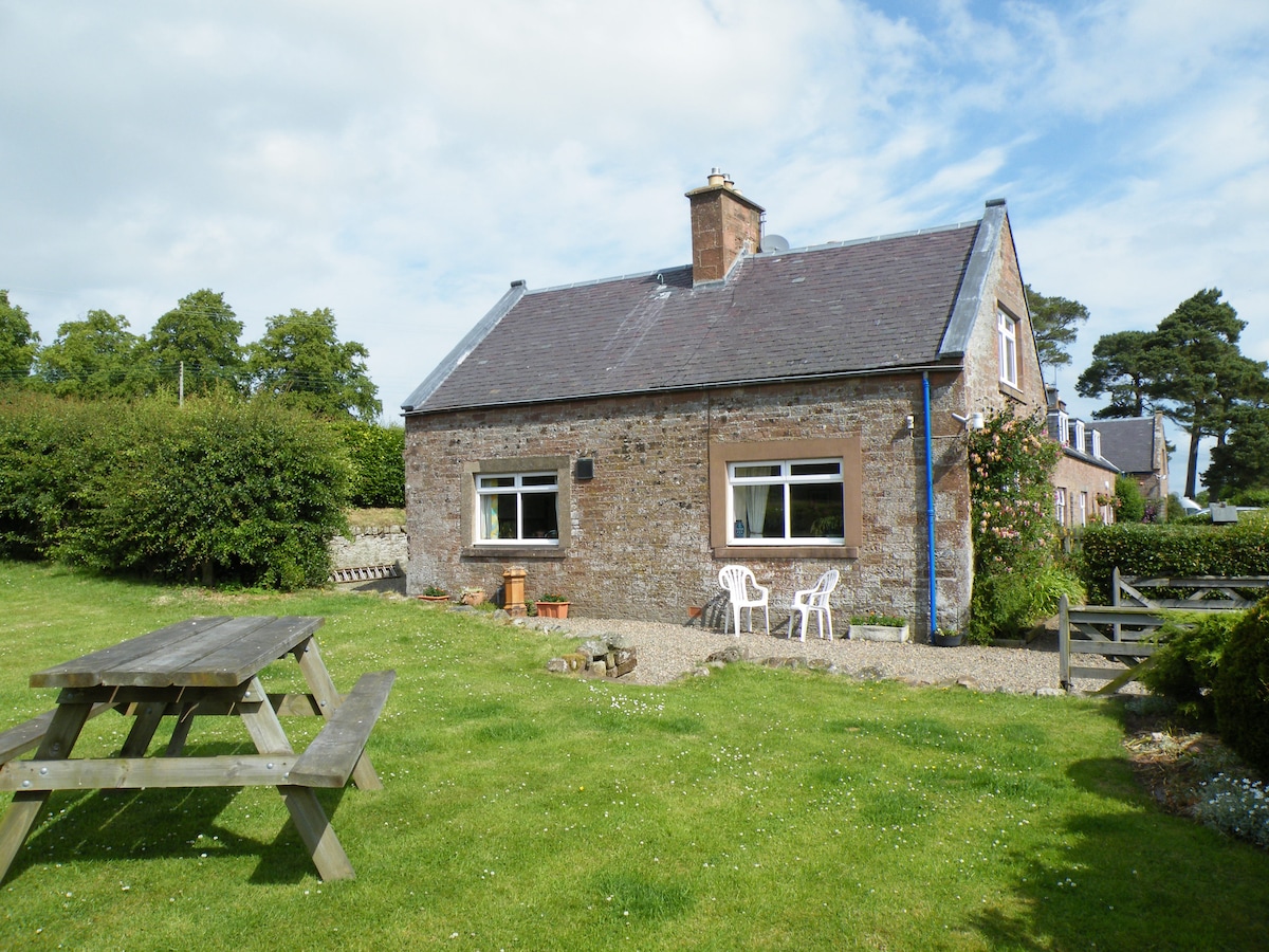 Wild Rose in rural location with lovely views