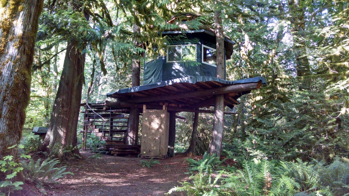 The Eagle 's Perch - Off-Grid Tree-House体验