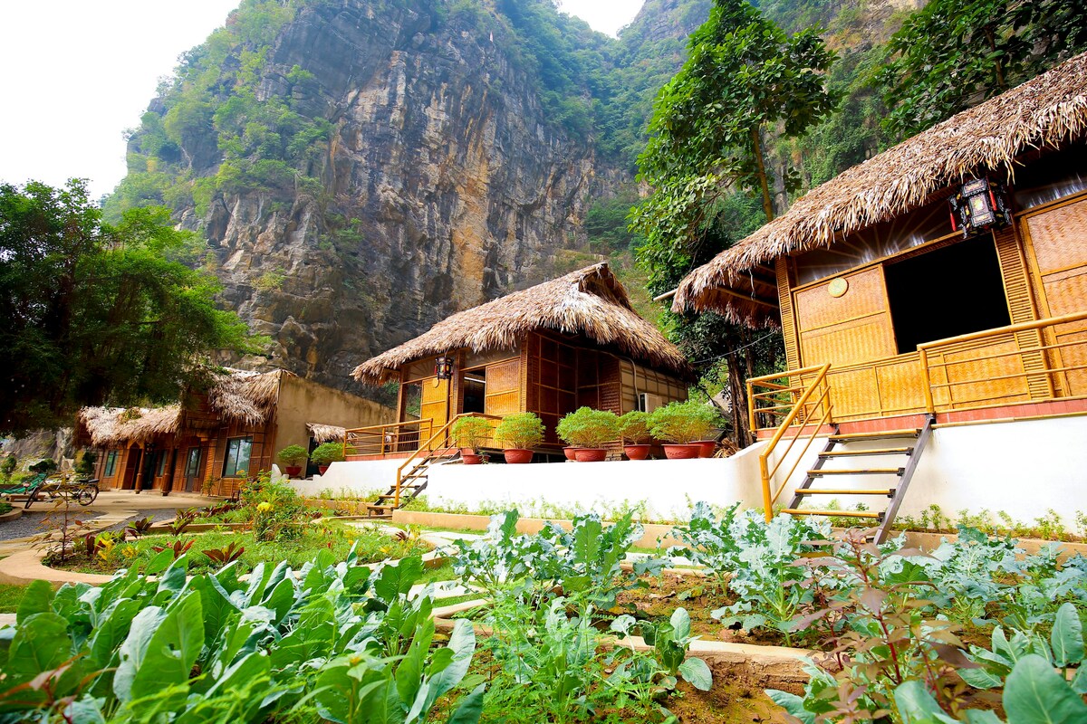 Trang An Passion Homestay