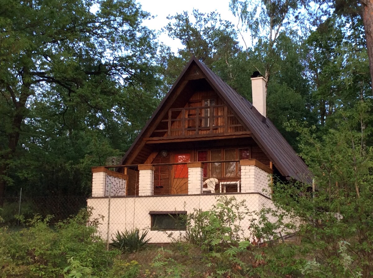 度假乡村小屋V Boroví