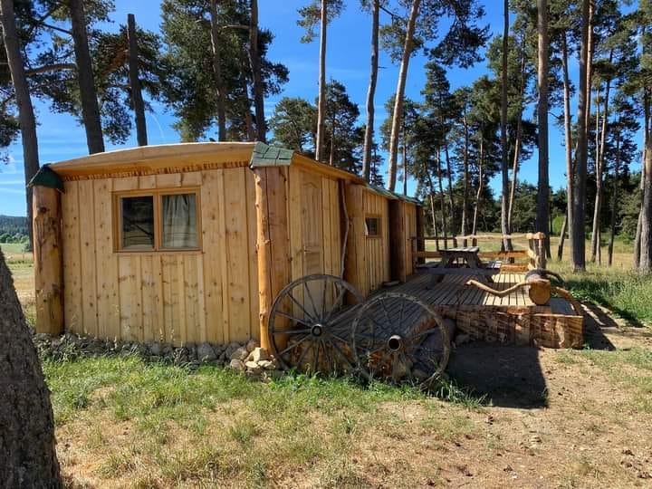 cabane insolite, le Mélèze