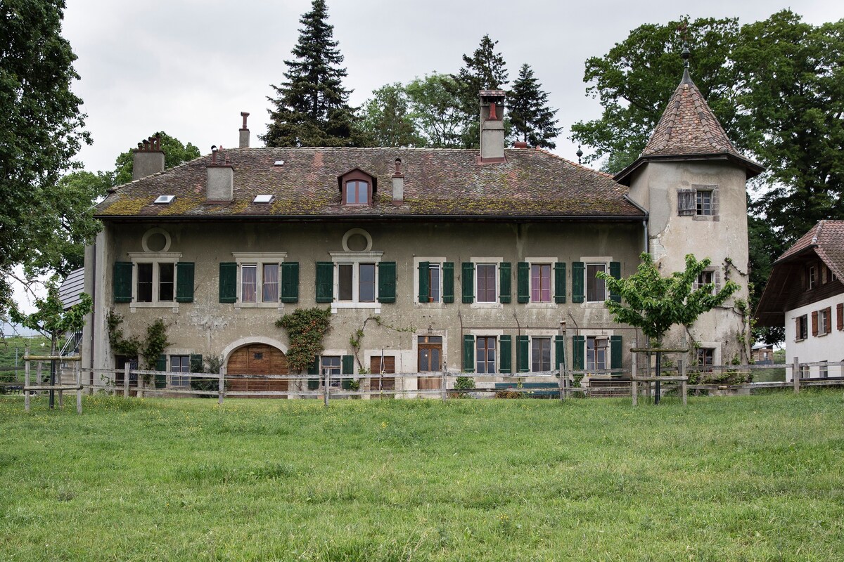 Domaine de Bois-Bougy -米色客房