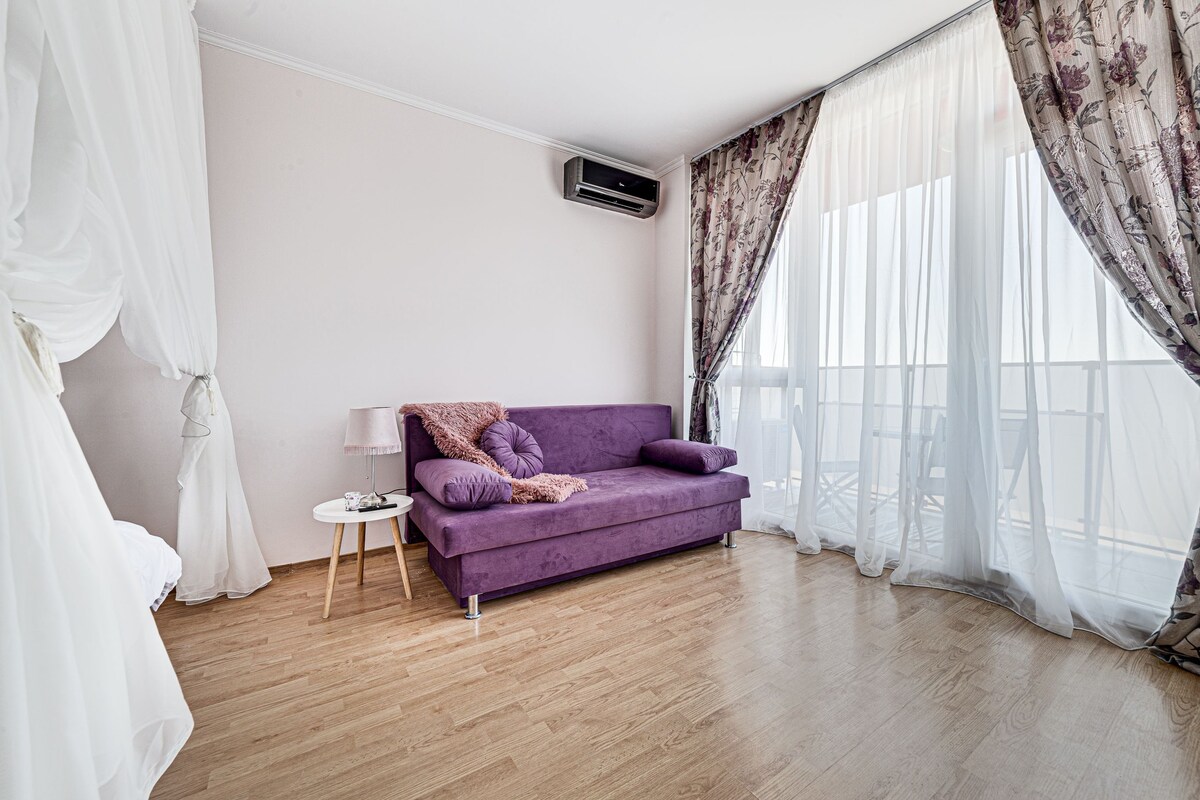 ARI紫色单间公寓