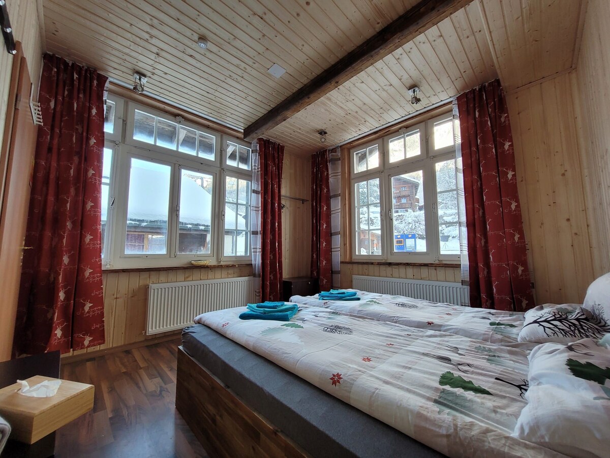 舒适的三卧室公寓，位于Burglauenen站