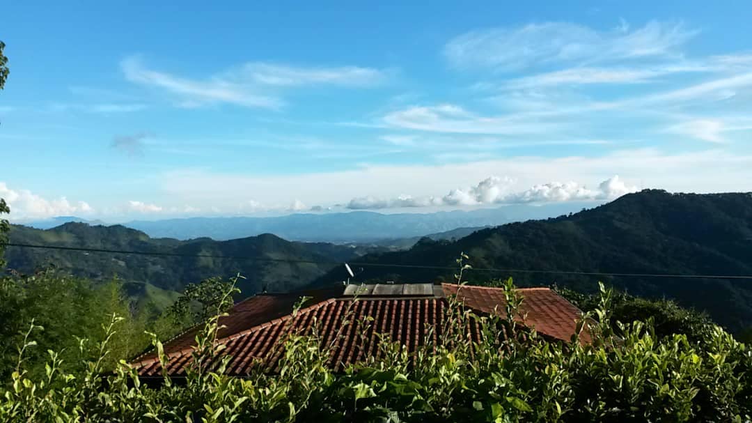 Casa- Galeria de Arte en la Montaña