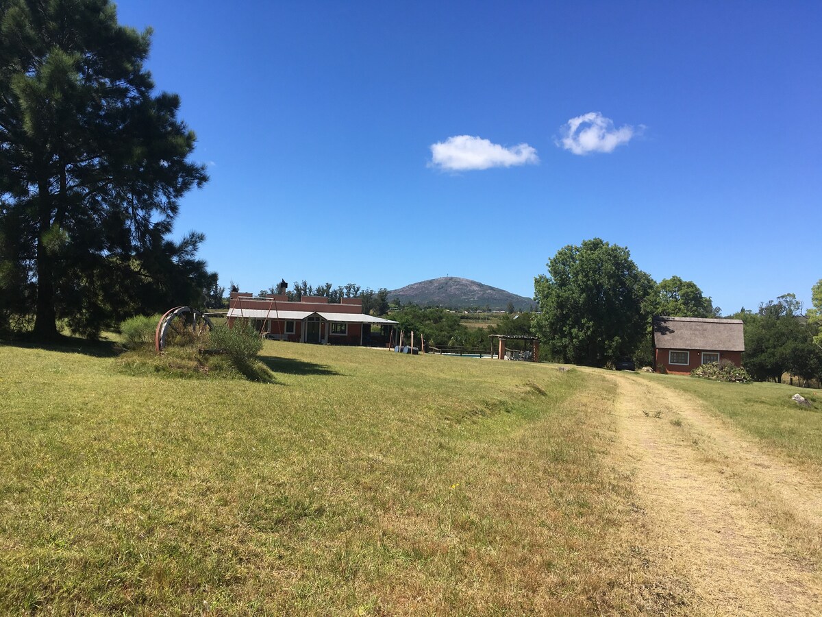 Peaceful Country Cottage - 20 min from the beach!