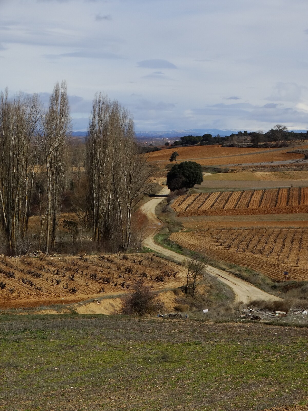 Route del Vino de la Ribera Route des wines