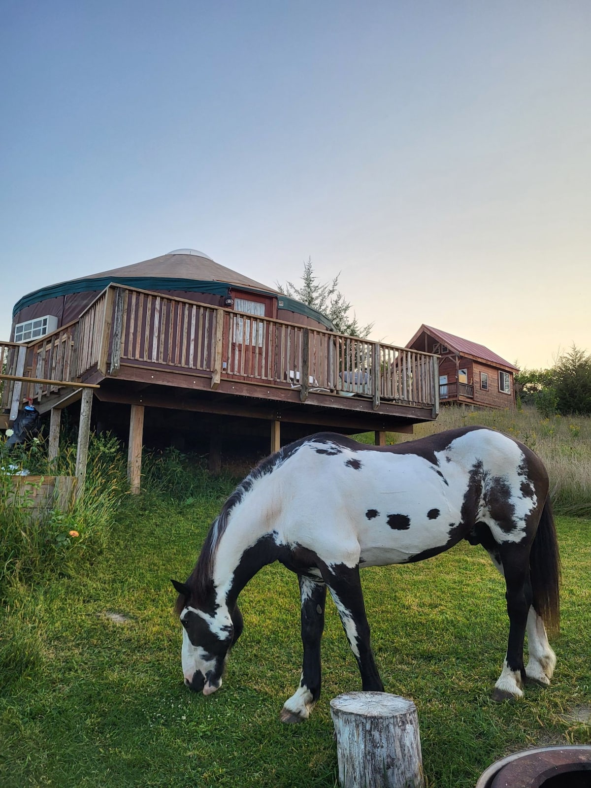 Yurt Glamping on a Magical Goat Farm
