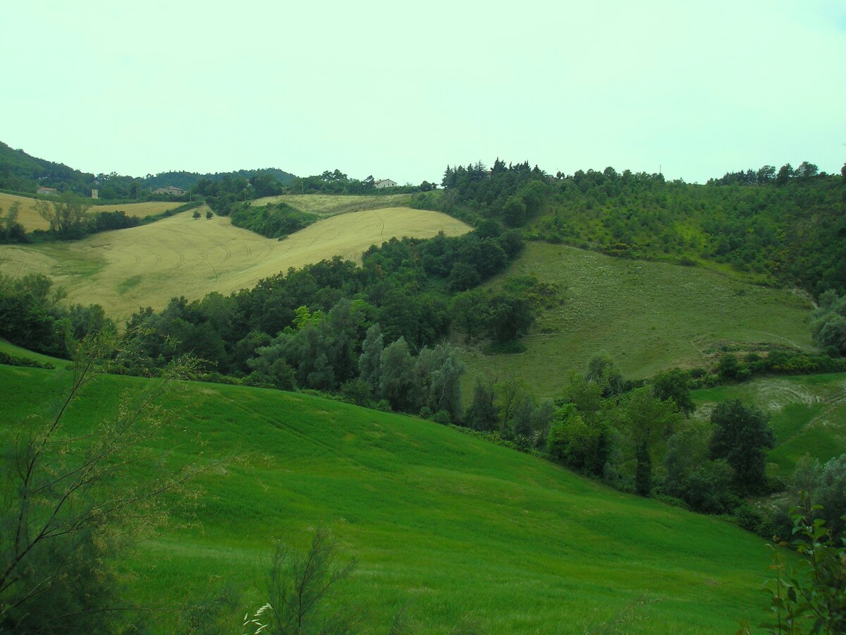 Agriturismo Cà Ferro -绿地中的露台-