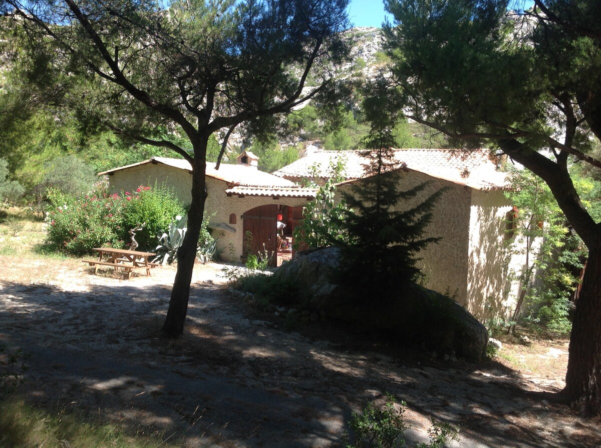 Maison avec Patio dans pinède entre mer et piscine