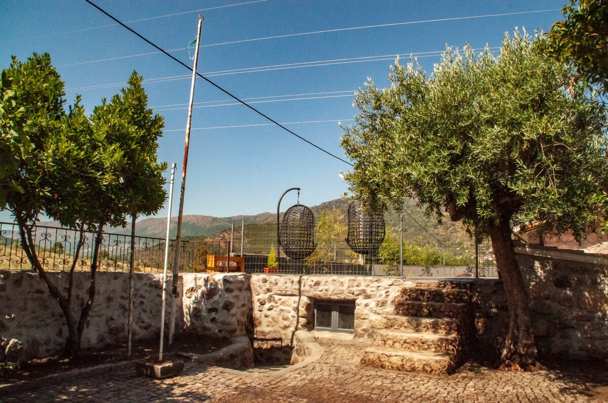 Quintinha Viçosa - Casa da Adega