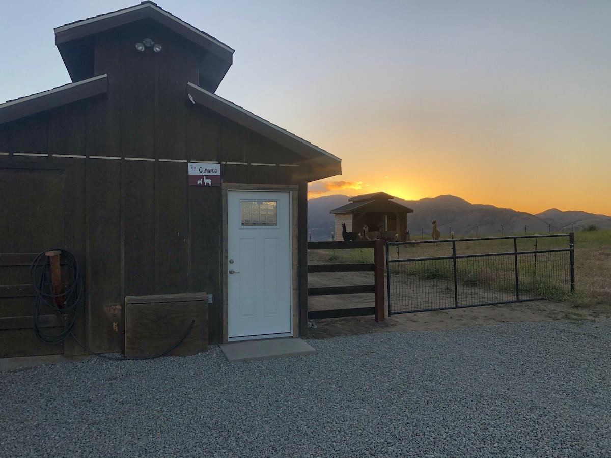 The Guanaco (A Lone Juniper Ranch Cabin)