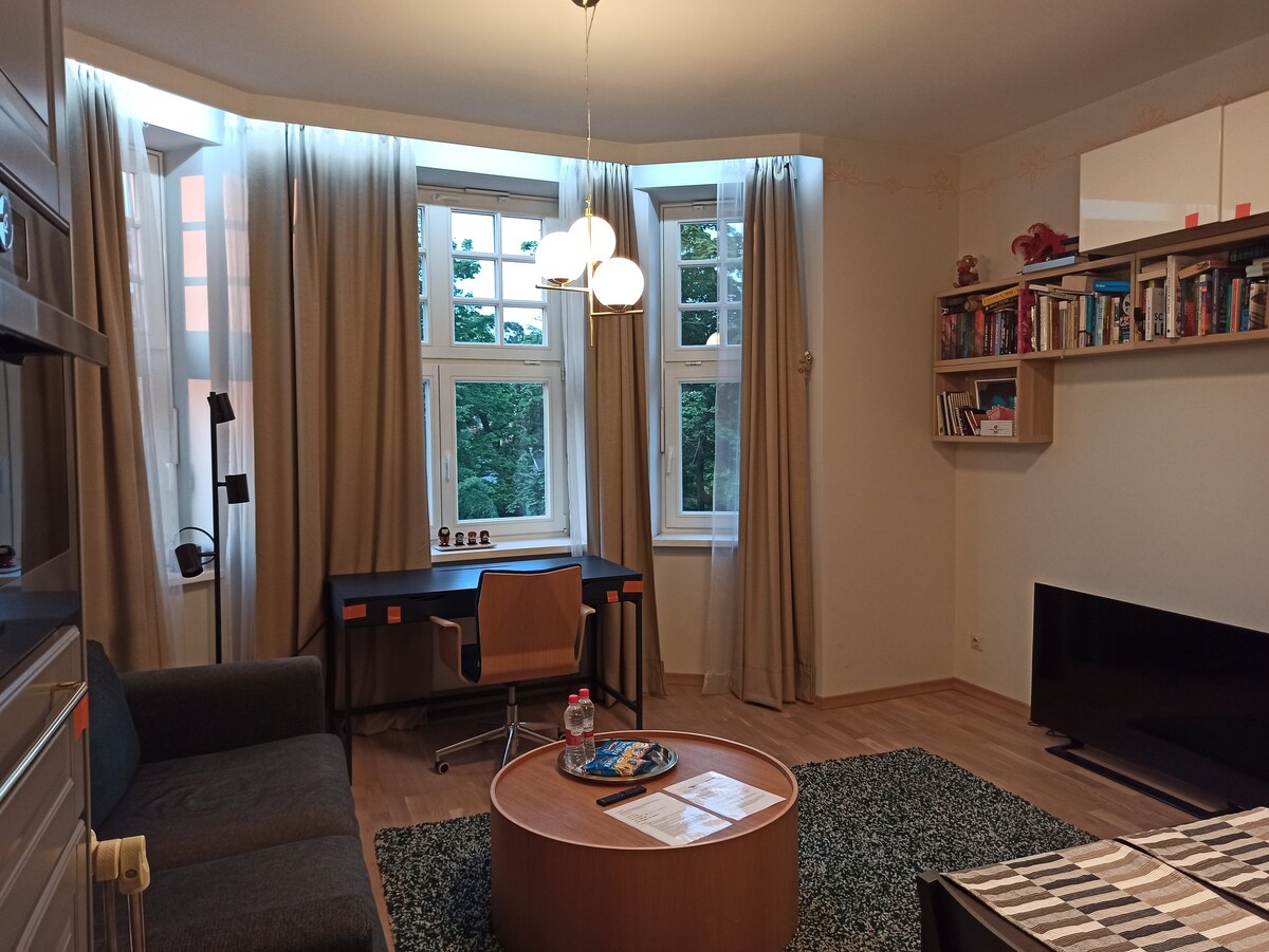 ArtDeco style 1 bedroom condo in the heart of Riga