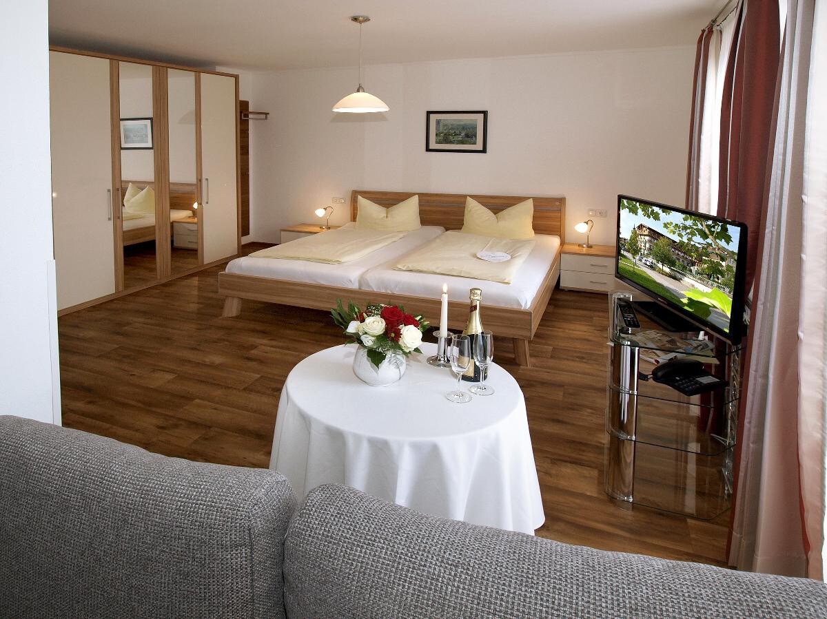 Hotel zum Goldenen Anker （温道夫） ，带阳台的单人多瑙河客房（ 18平方米）