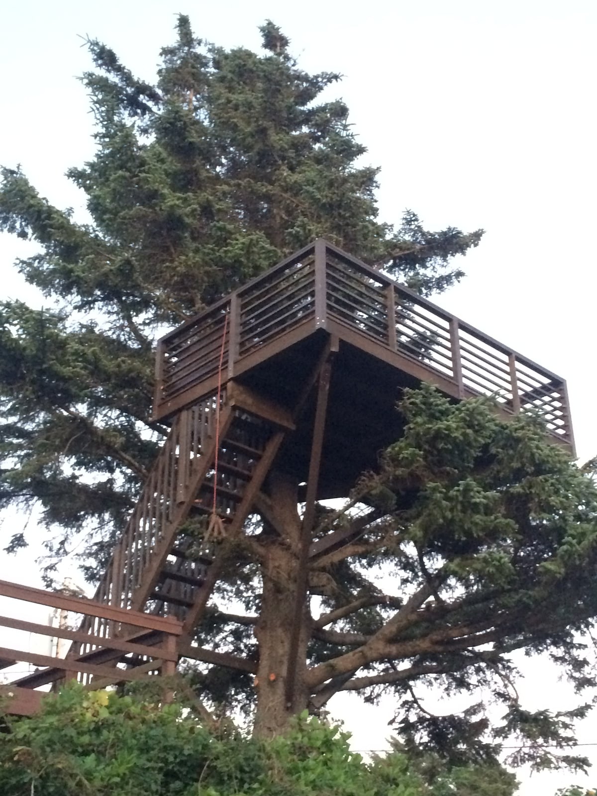 Oregon Coast Knotty Pine View Cabin