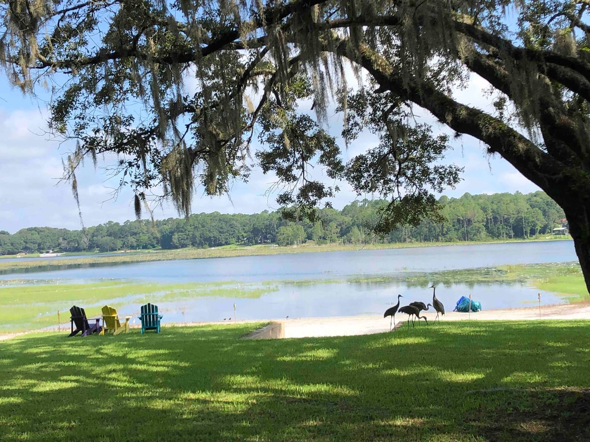 The Lake House