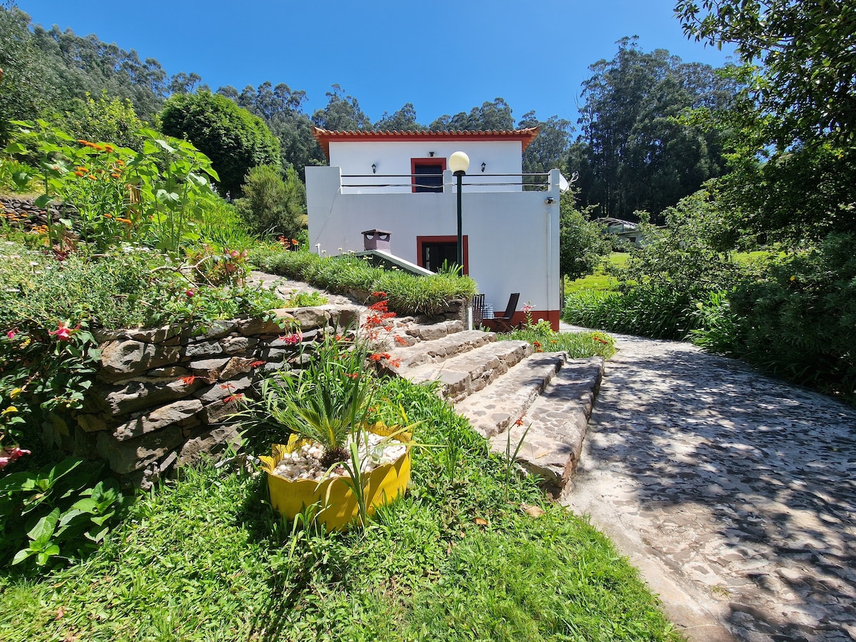 Viola Tricolor cottage no Cantinho Rural
