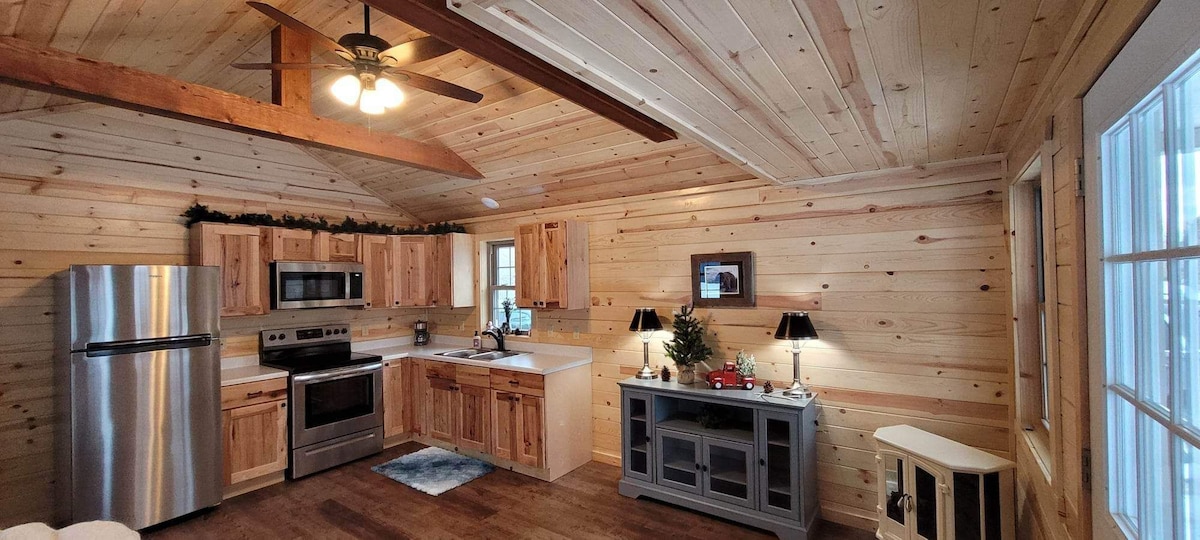 Cozy cabin in Montana