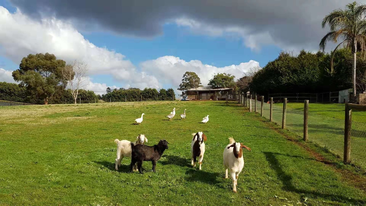 Will 's Wonderland Farmstay