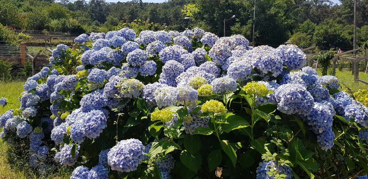 A Casiña das Eiras. A Guarda/O Rosal