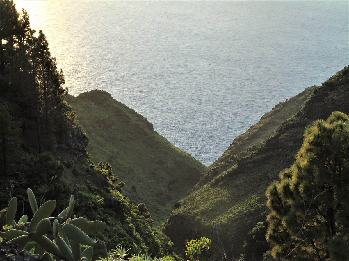 海景、日落和星空