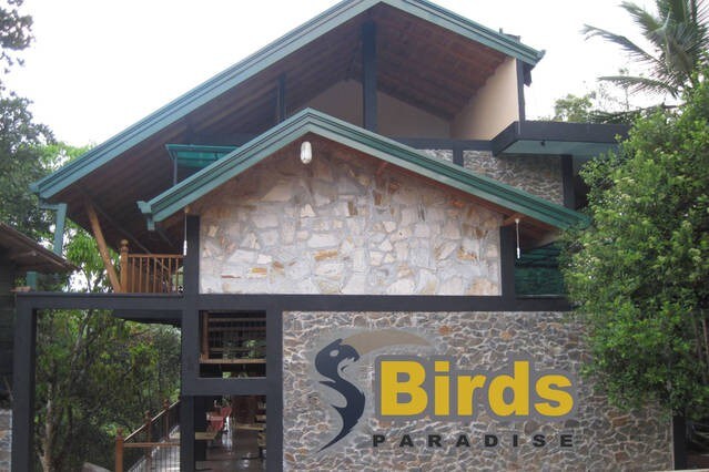 鸟类天堂酒店（ Birds Paradise Hotel ）豪华家庭客房（空调）