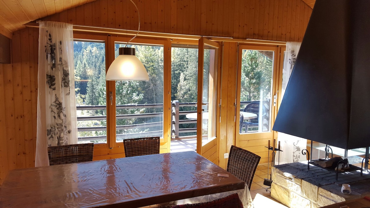 瑞士度假木屋风格，靠近山湖和松林