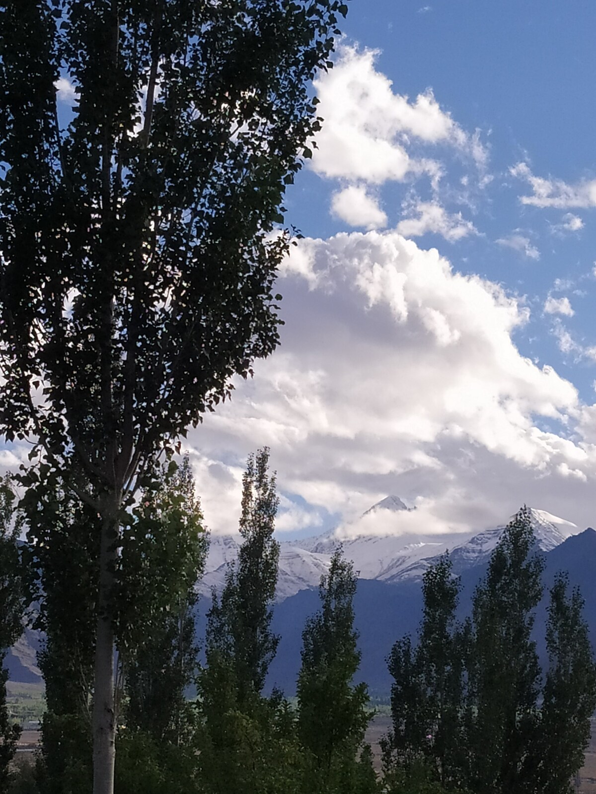 Ladakh Scholars Club