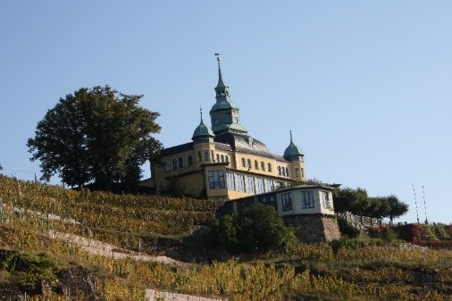 Ferienwohnung Gartenblick