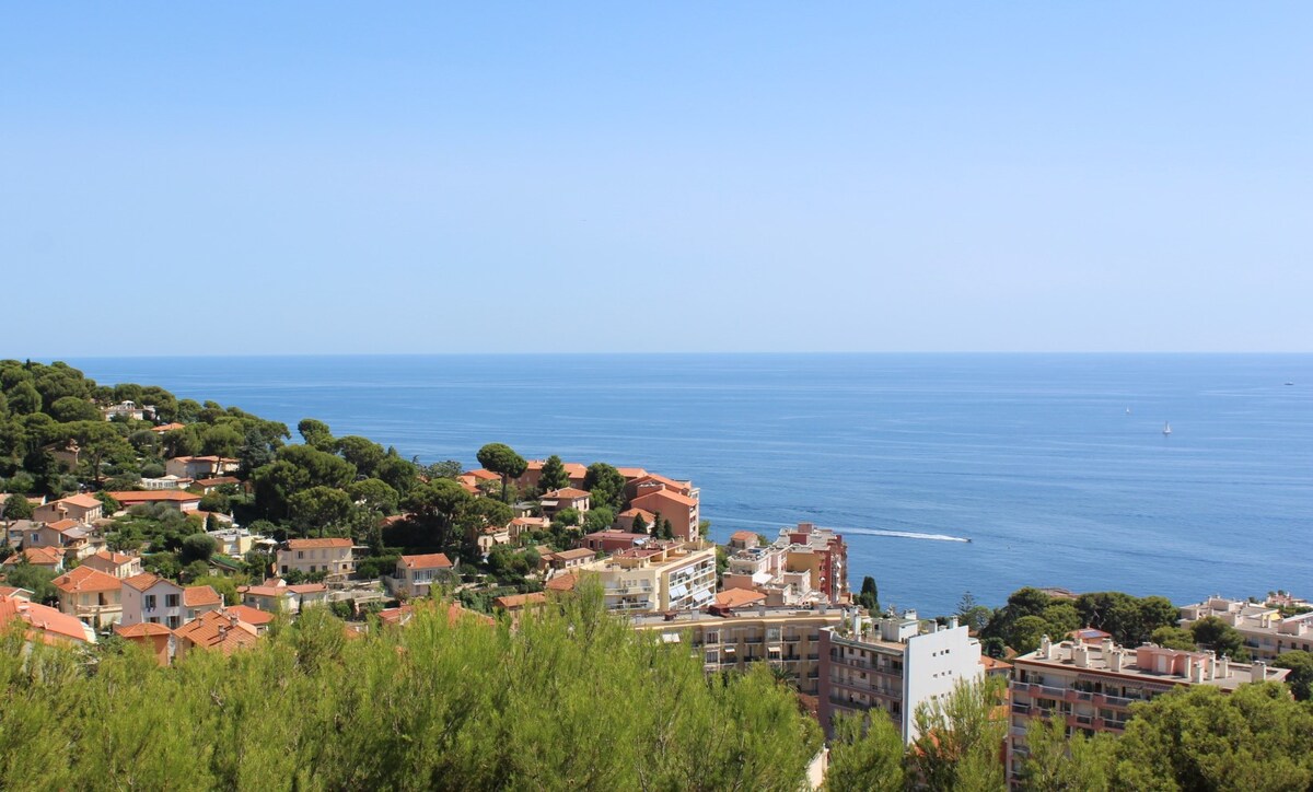 Cap d 'Garlic ， 2间客房， 180 °海景，距离摩纳哥5分钟路程