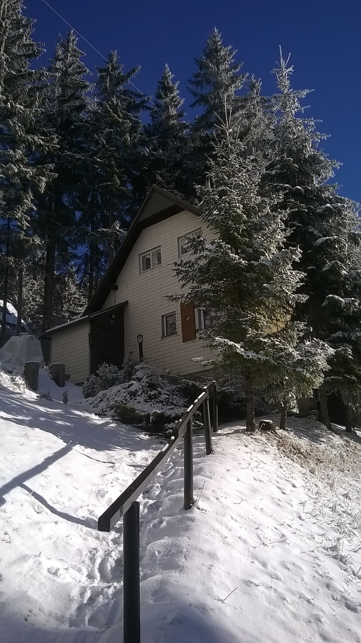 自然保护区/滑雪胜地中的天然仙女