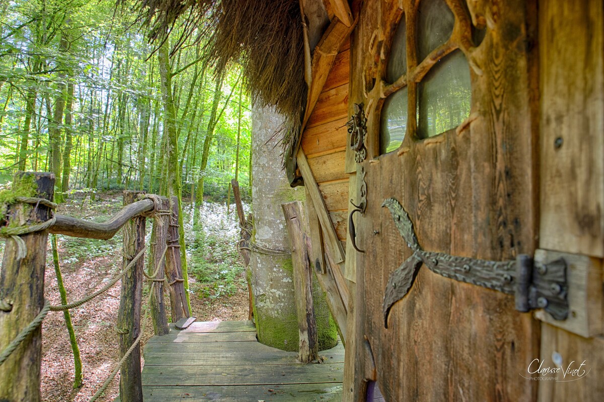 Cabin Drommen - L'Arbre à Cabane